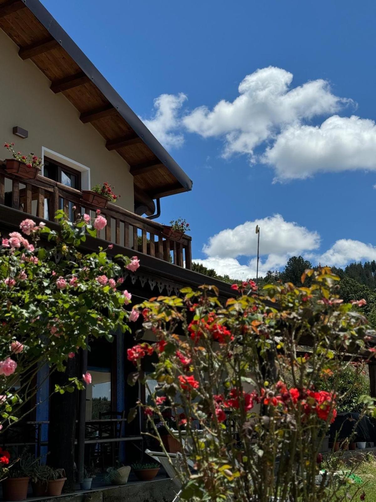 Bed and Breakfast Is Cubas Desulo Esterno foto