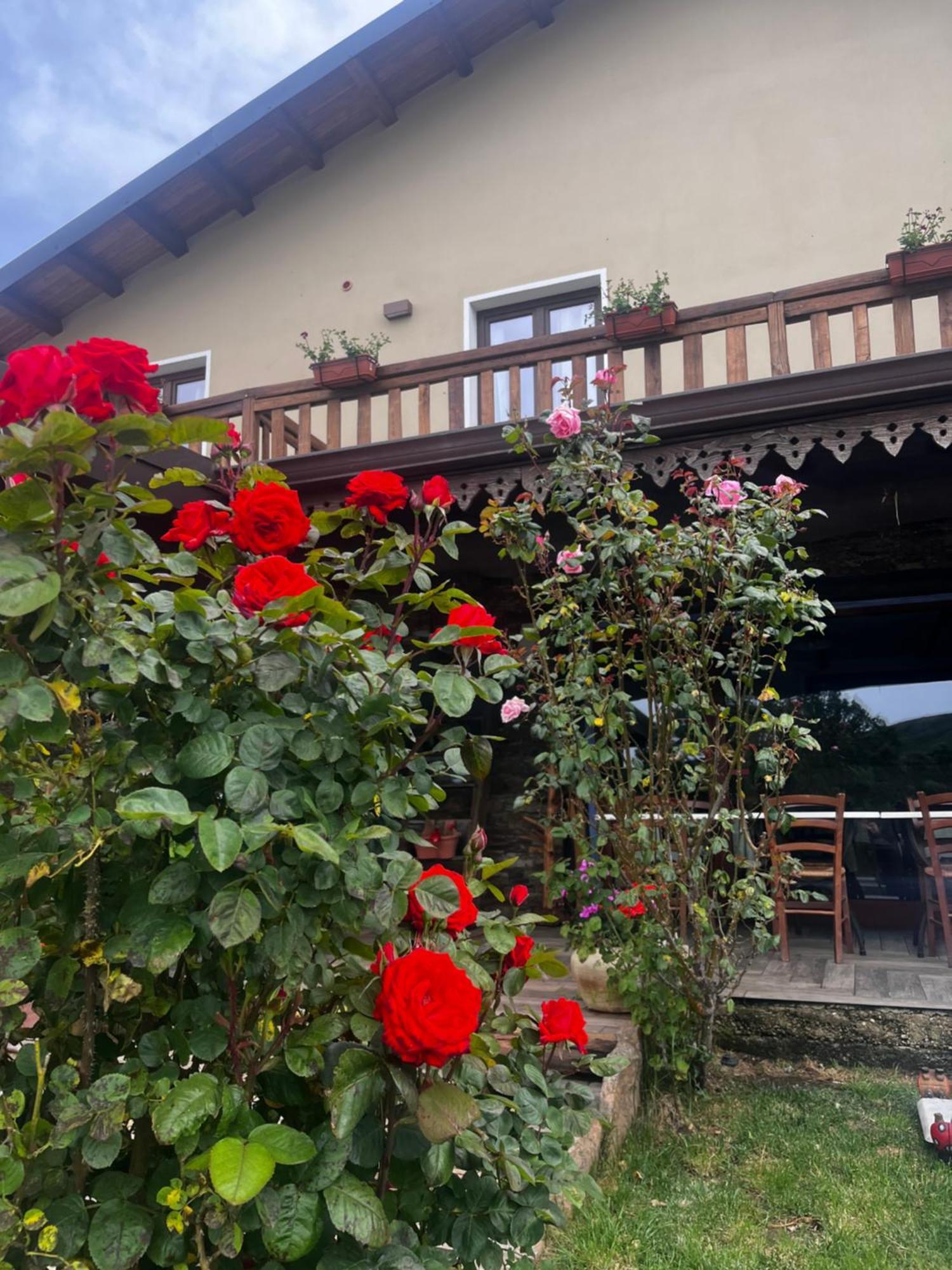 Bed and Breakfast Is Cubas Desulo Esterno foto